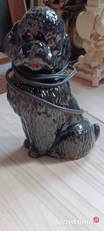 ceramiczny Pudel był lampką vintage 20 wysoki Poznań