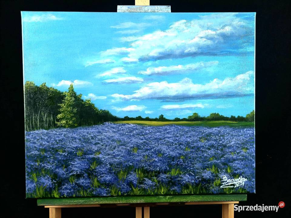 Obraz ręcznie malowany 40x50 Malarstwo sprzedam