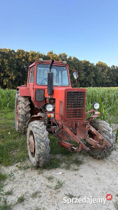 MTZ 82 warmińsko-mazurskie Chełmżyca