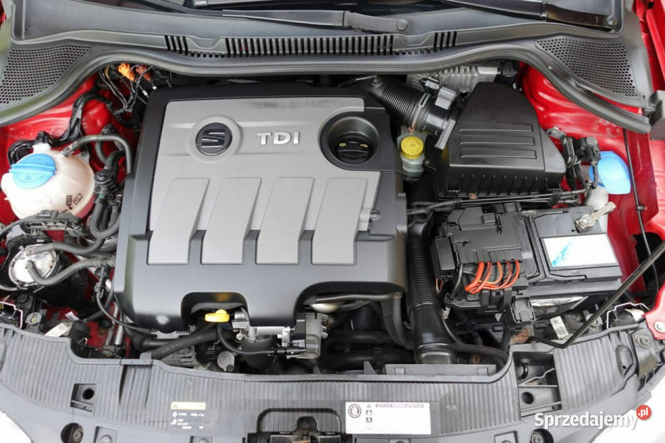 Seat Ibiza LIft 16 TDI Navi Climatron GWARANCJA Ibiza mazowieckie Płońsk sprzedam