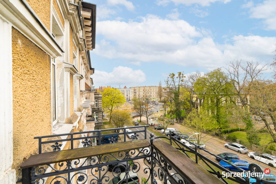 114m Klasyki Jasnych BłoniachWielkopolska22 sprzedam