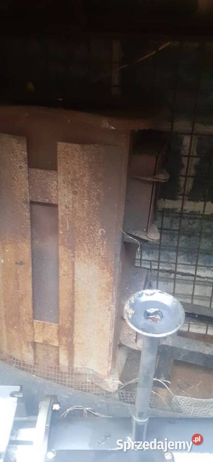 Piecyk świętokrzyskie Wiślica