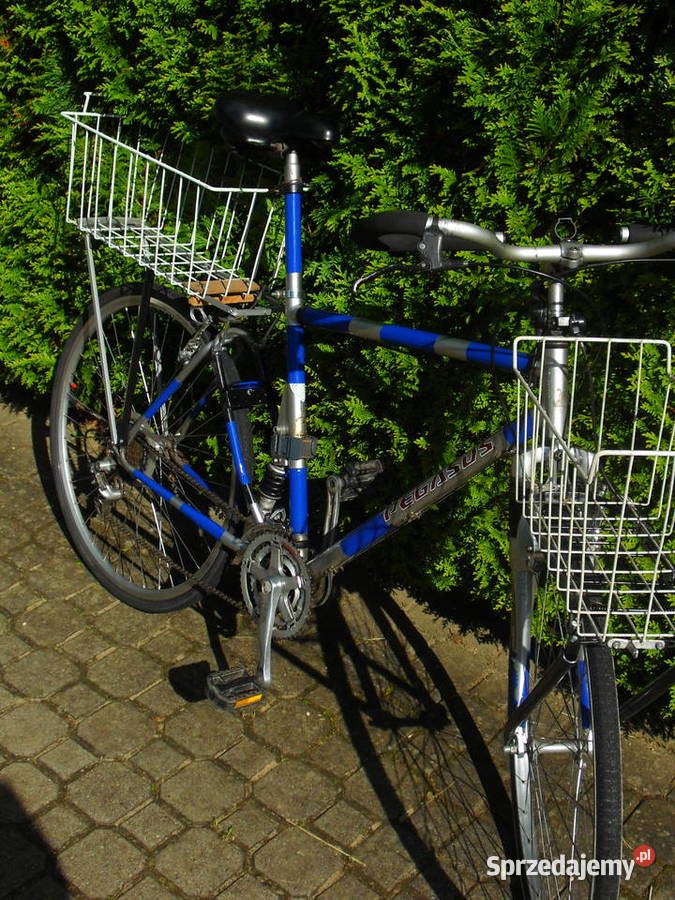 Rower PEGASUS Bielawa