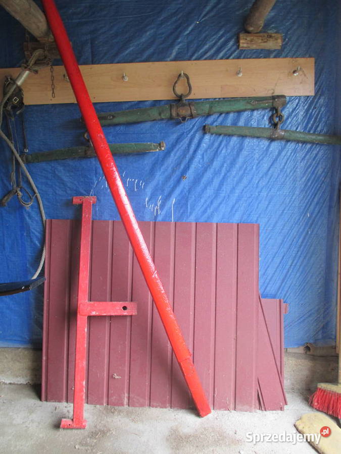 hodowla hucułów handzlówka