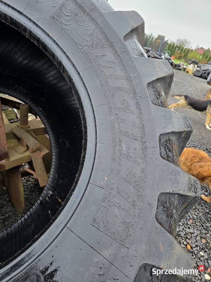 Opona 8006532 Bolesławiec