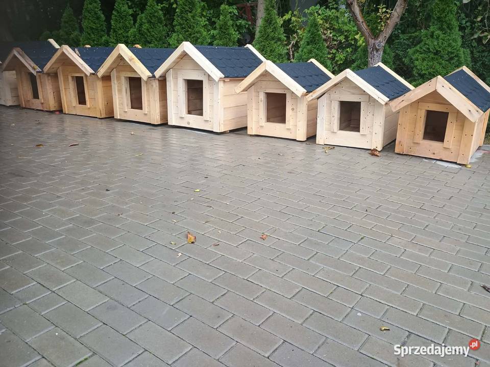 Buda psa Dąbrowa Tarnowska