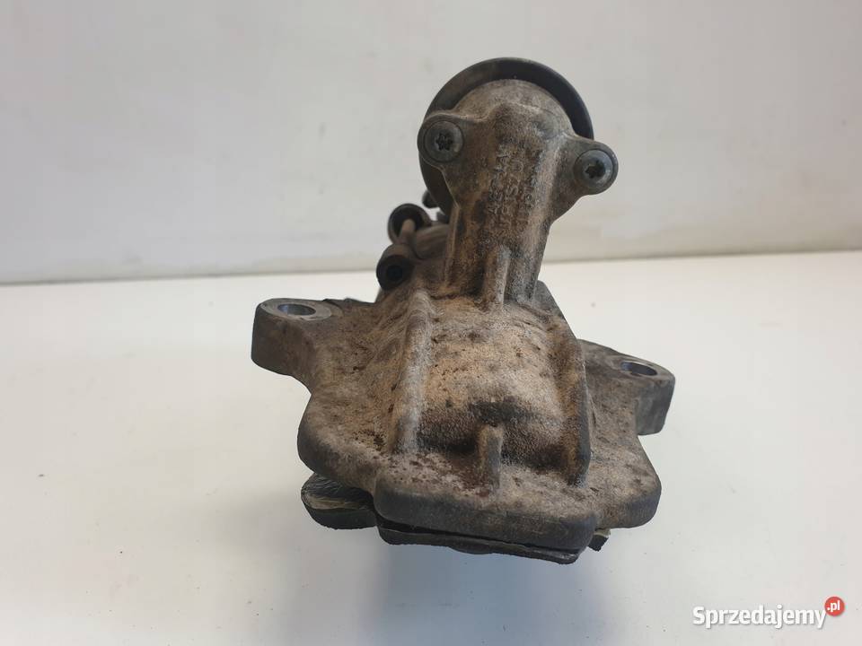 ROZRUSZNIK Volvo S40 II V50 20 16V ROZRUSZNIK Rudka