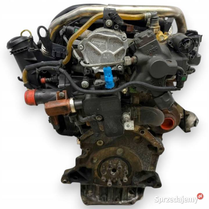 SILNIK G6DA Ford C C Focus MK2 20 TDCI 136 G6DB lubelskie