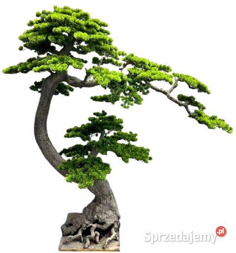 Sztuczne drzewko Bonsai Premium 180x90x200 Golkowice