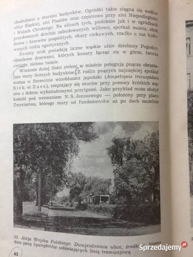 3094 Szczecin Miasto Parków I Zieleni