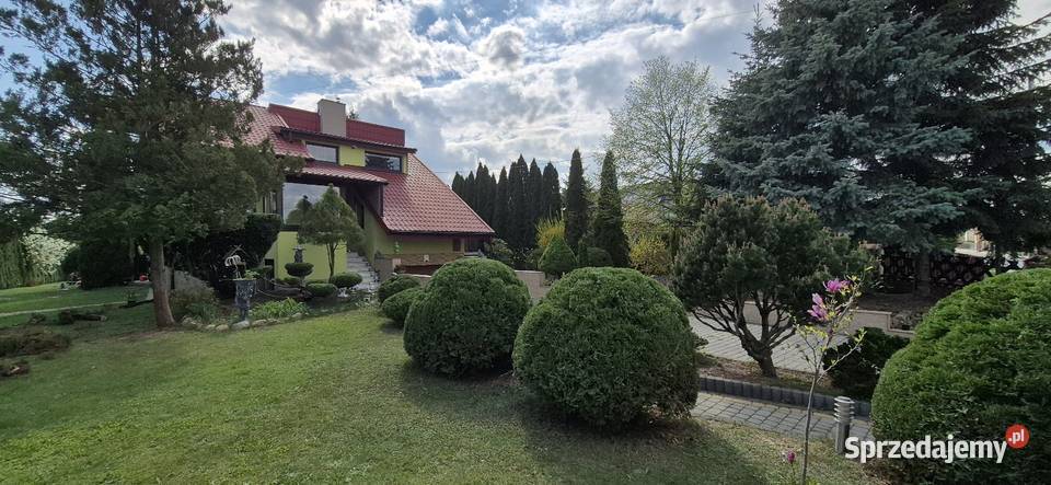 Usługi leśno ogrodnicze Kurnędz