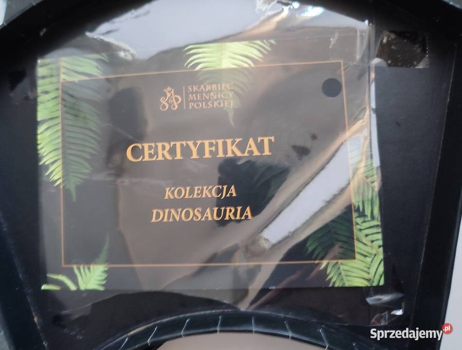 kolekcja dinozaurus Bydgoszcz