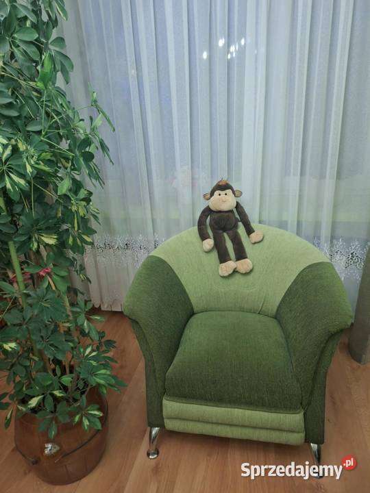 Fotele 2 sztuki Fotele podkarpackie Munina