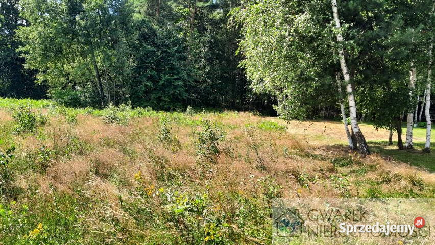 Działka Zendek 1000m2 1000m2