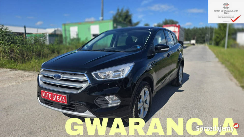 Ford Kuga 4X4 duza navi mały przebieg II 2012 ASR (kontrola trakcji) Lębork