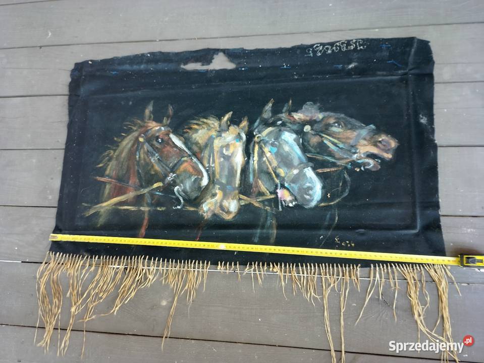 Konie w galopie stary przedwojenny obraz z podkarpackie