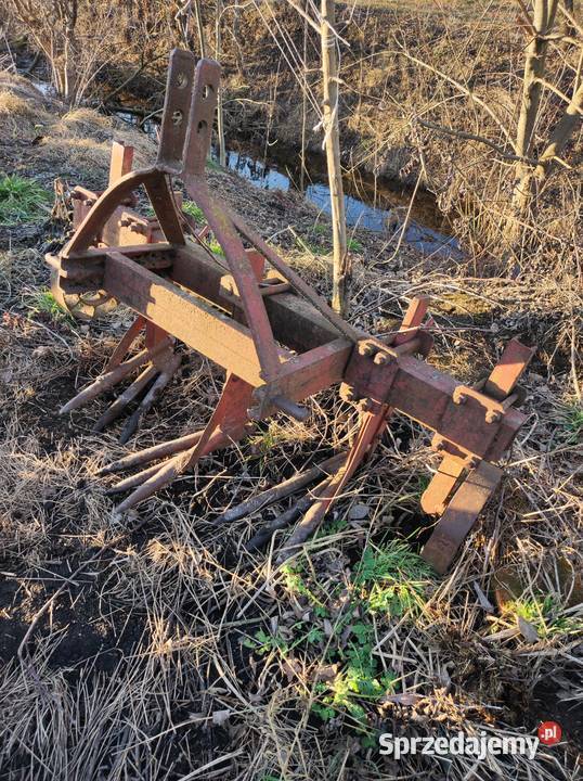 Wyorywacz do buraków Kotlice