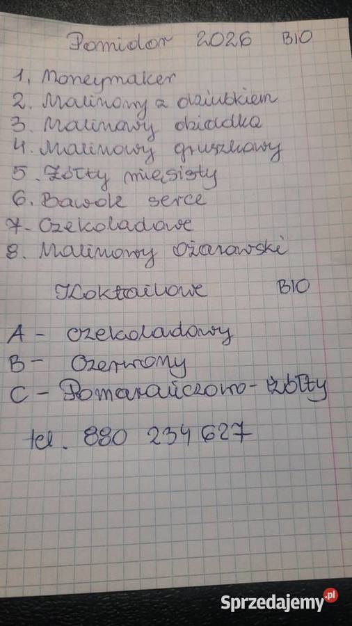 Sadzonki pomidorów różne rodzaje