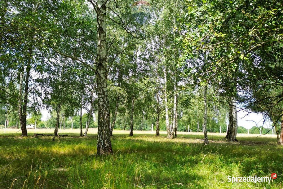 Działka budowlana gmPuszcza Mariańska 1000m MPZP Sprzedaż mazowieckie Długokąty