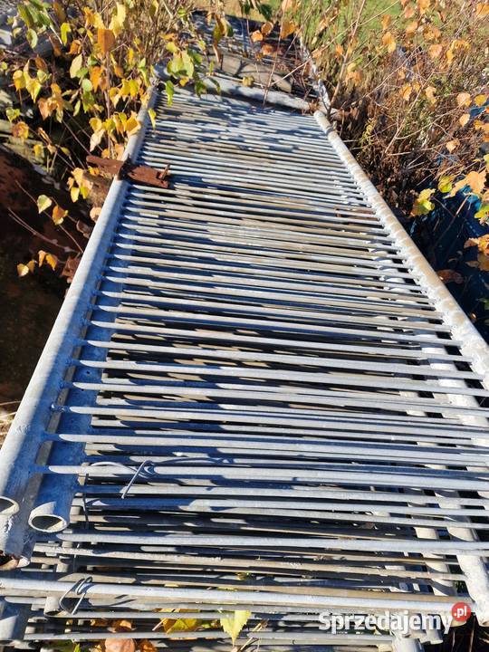 wygrodzenia kojce koryta świń sprzedam