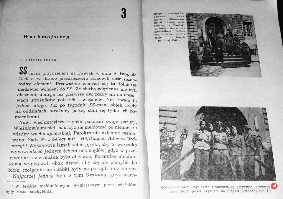 murami Pawiaka Leon Wanat Pozostałe Chełm