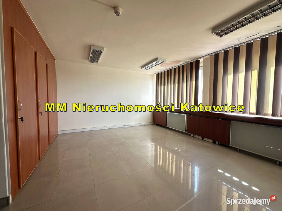 Biura różne powierzchnie do wynajęcia Katowice sprzedam