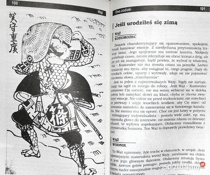 Zodiak Chiński Wąż Catherine Aubier Pozostałe Chełm sprzedam