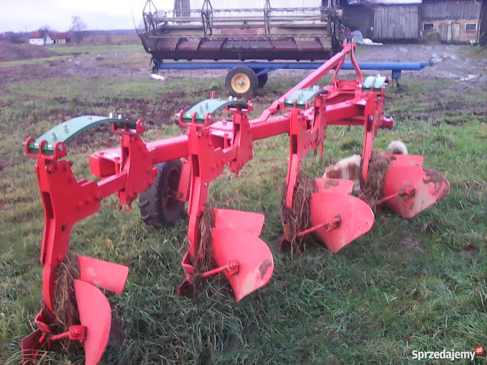 Pług jednobelkowy nieuszkodzony Krzewno