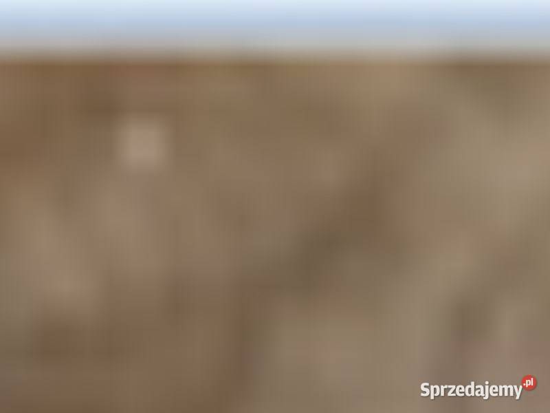 Wał korbowy Case 844 845 885 4230 D268 Silnik i osprzęt dolnośląskie Byków