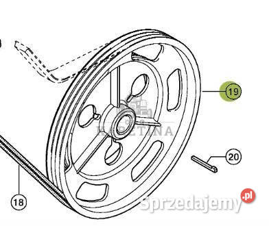 Claas Lexion 570 Koło Pasowe Bębna Młócącego Pozostałe Jastrzębniki sprzedam