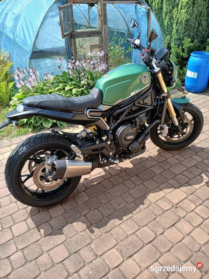 Benelli Leoncino 800 Scrambler nowy manualna