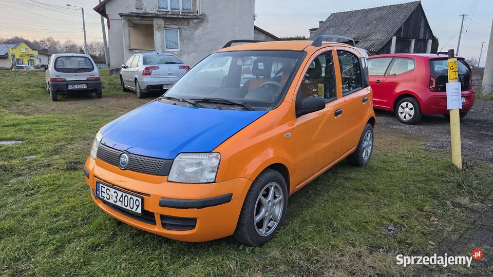 12 60 Panda śląskie