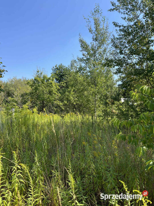 Działka rolna rezerwacie 1500m2 Łoś