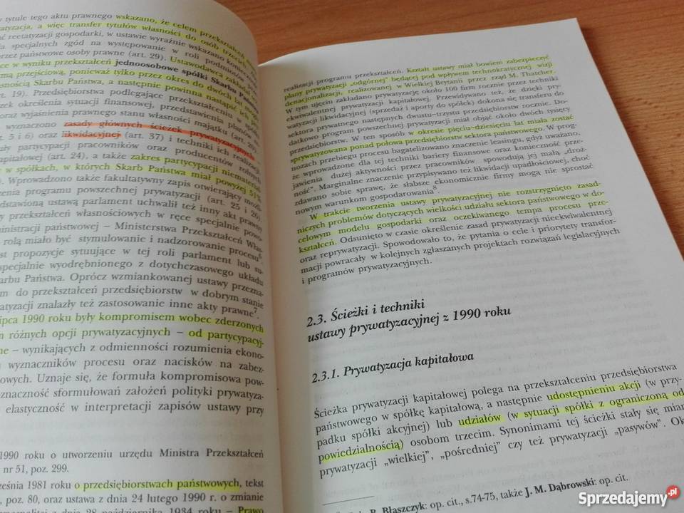 Problemy polskiej prywatyzacji w latach 19901996