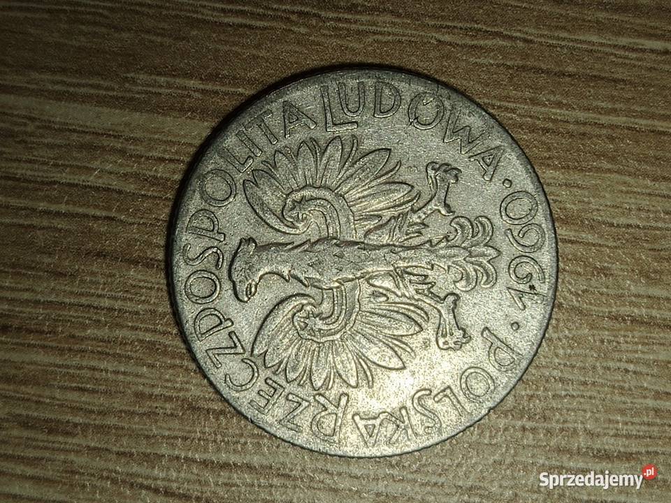 5zloty Rybak 1960 Pozostałe łódzkie Zduńska Wola