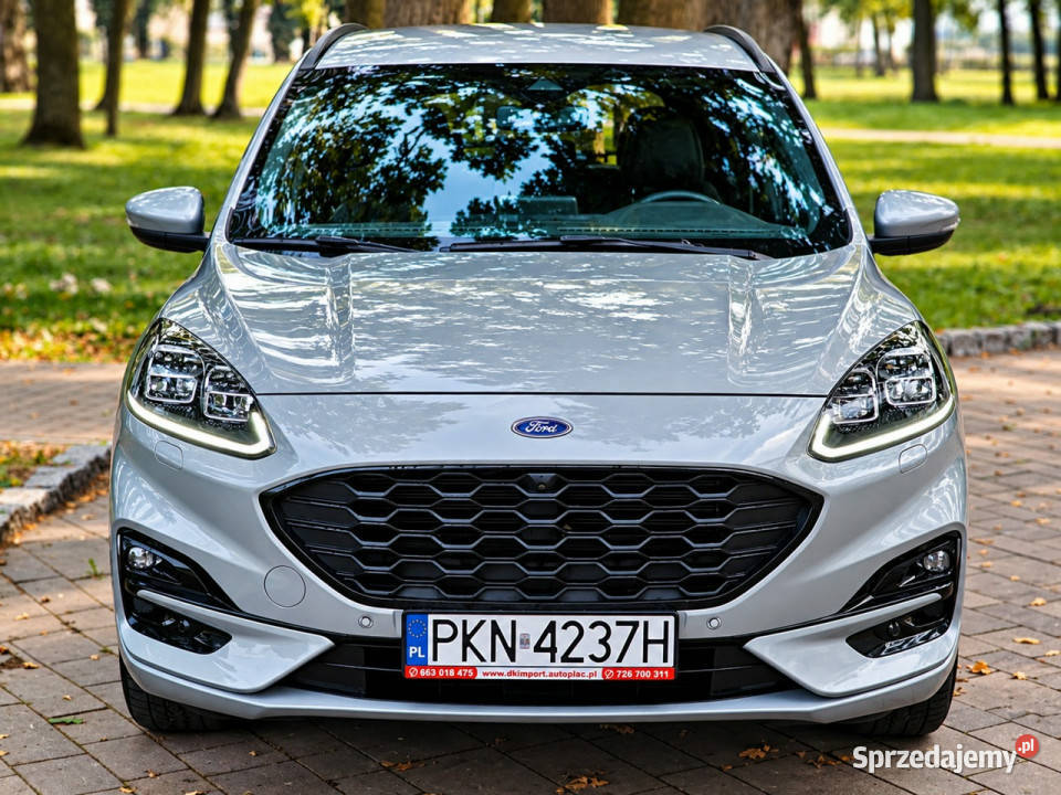 Ford Kuga III 2019 Sadlno