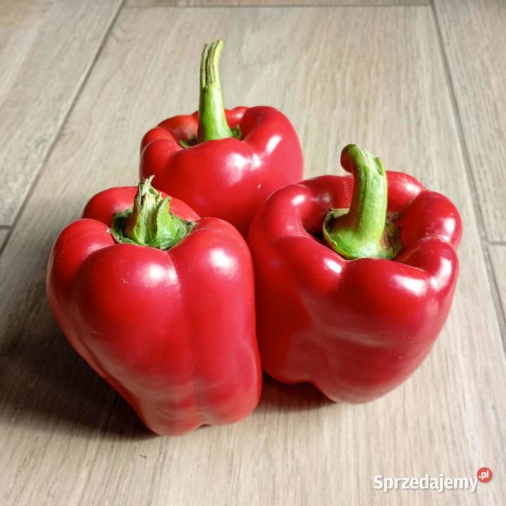 Papryka na sprzedaż Dęblin
