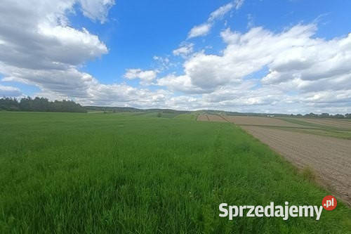 Działka rolna Cholerzyn 5400 m2 rolna małopolskie