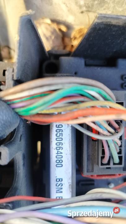 Zestaw startowy sterownik BSM immo zegary Rok produkcji 2004 Bydgoszcz