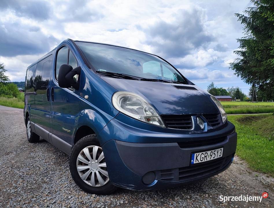 Renault Trafic 20 dCi 115 2009 9 osobowy 340 Domaradz sprzedam