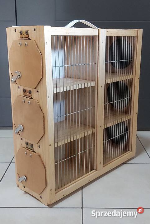 transportówka sześć cel Dla ptaków śląskie Rybnik