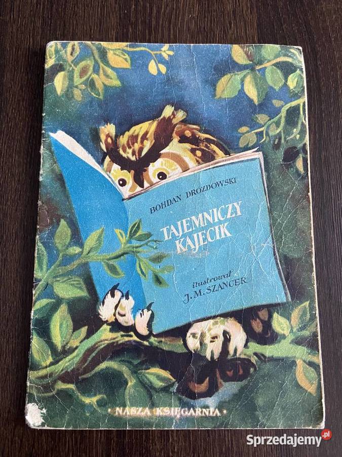 Tajemniczy Kajecik Bohdan Drozdowski ilustrował Błażejowice