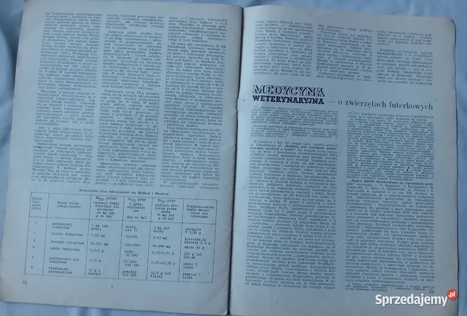 Hodowca Drobnego Inwentarza 6 1980 r wielkopolskie Koźminek