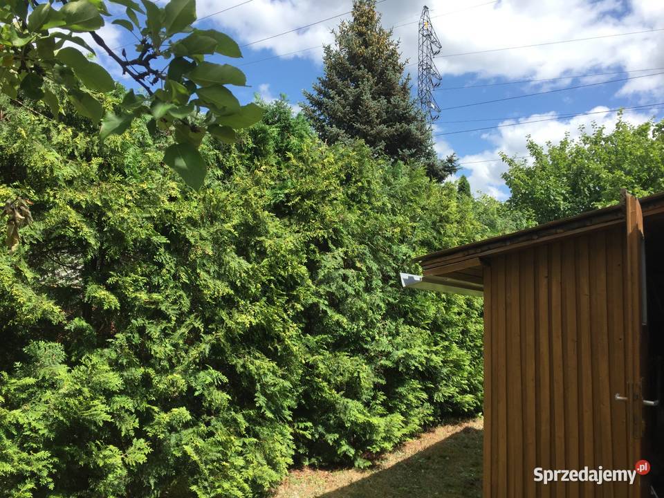 Sprzedam działkę ROD Jaroszówka Białystok