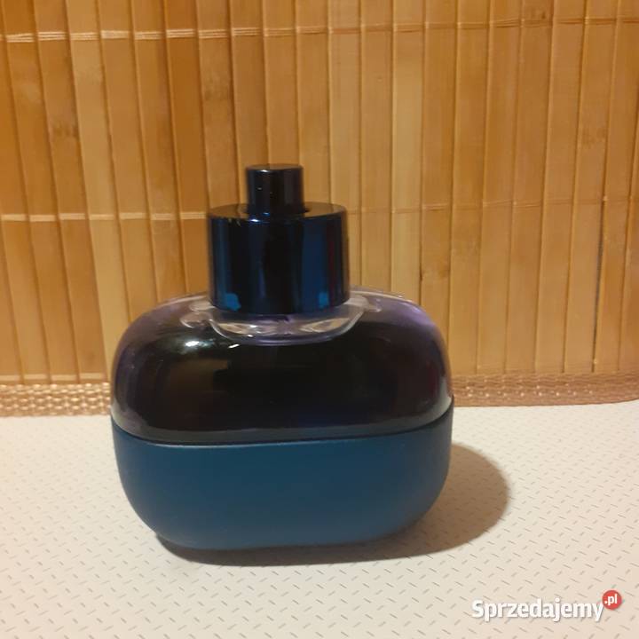 Perfumy Holister Festival nite 100 ml Darmowa Warszawa
