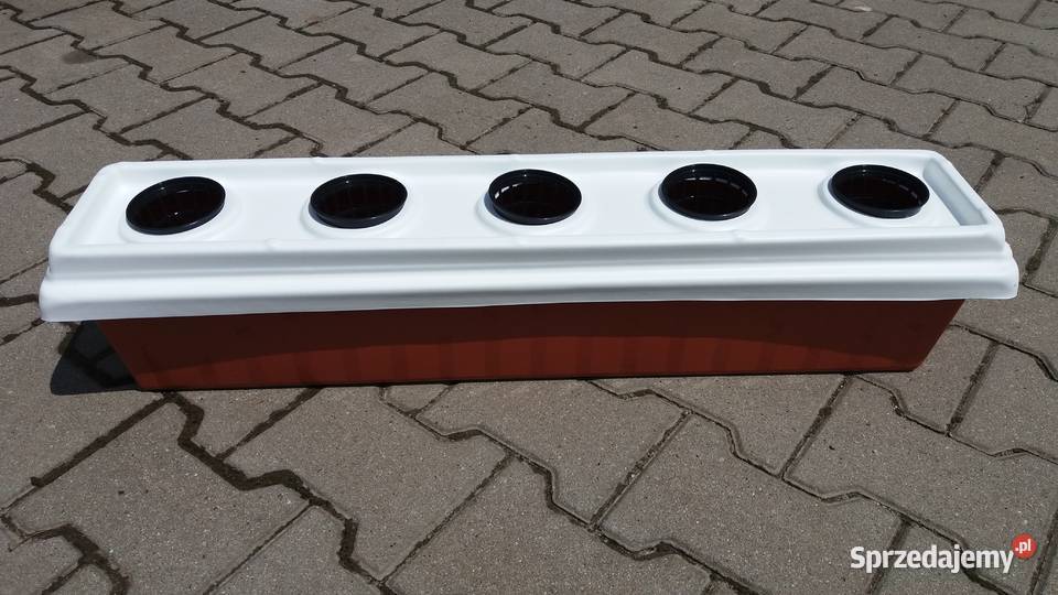 Skrzynaka do Hydroponiki wym82x19x19 na 5 gniazd Wrocław sprzedam