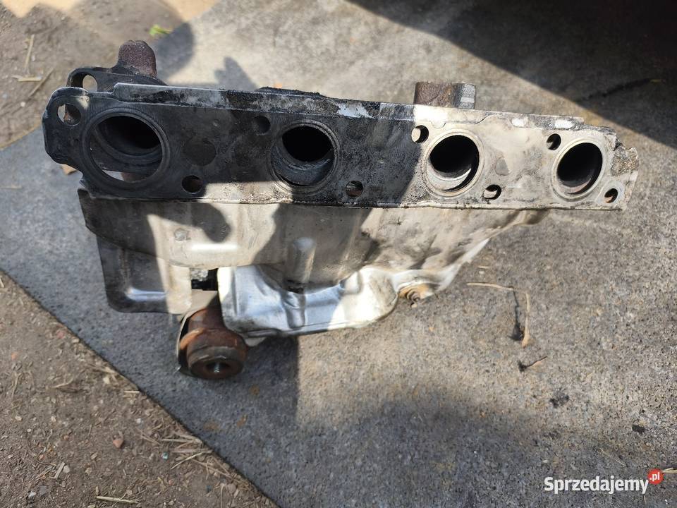 Turbo lubuskie Zielona Góra