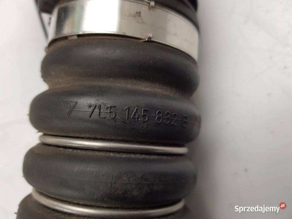 PRZEWÓD RURA DOLOT KOLEKTORA CAYENNE II 48 500 osobowe kujawsko-pomorskie Lipno