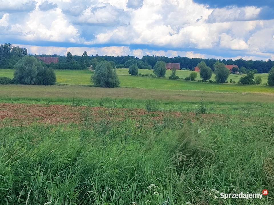 Siedlisko RADZIEJE mieszkanie 67 m2 działka Sprzedaż