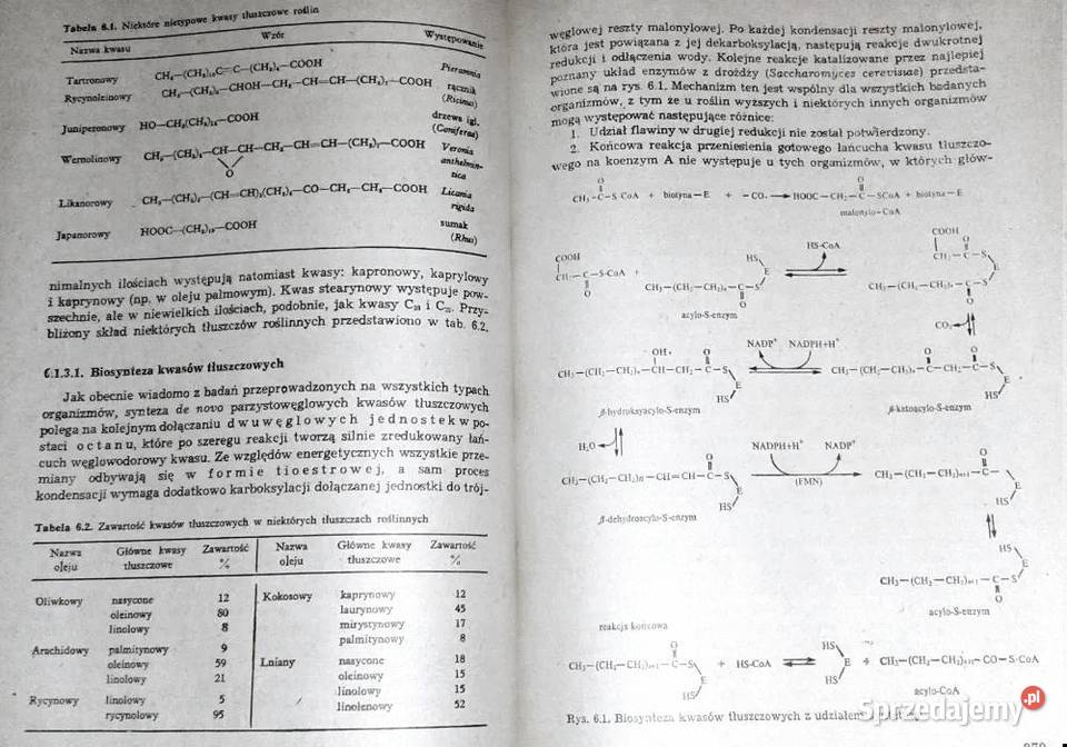 Biochemia roślin Tom 1 Jerzy Kączkowski Chełm